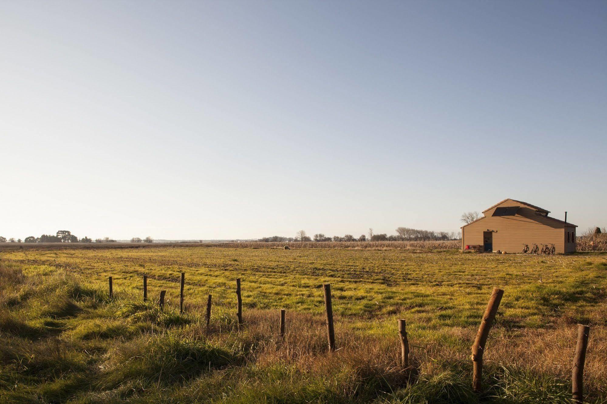 Country house Be And In Nature Ovar